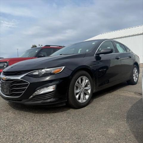 2024 Chevrolet Malibu FWD 1LT for sale in Grand Rapids, MN