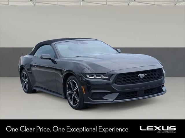 2024 Ford Mustang EcoBoost Convertible for sale in Chattanooga, TN