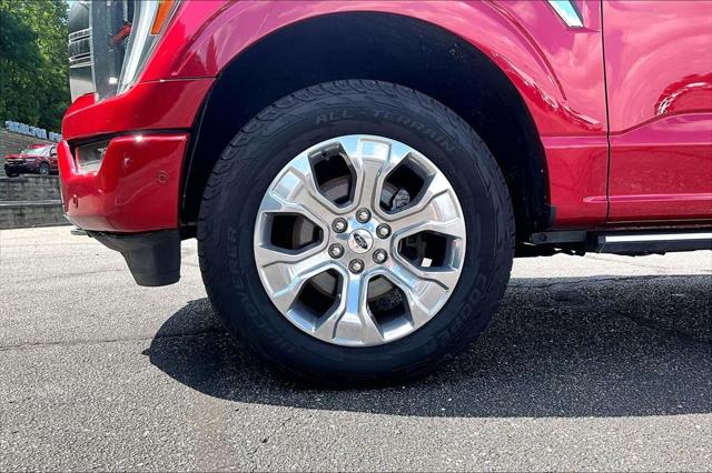 2021 Ford F-150 Platinum