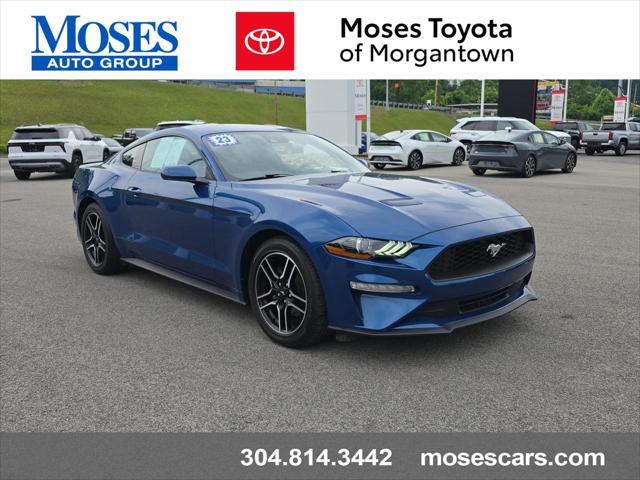 2023 Ford Mustang EcoBoost Fastback for sale in Morgantown, WV