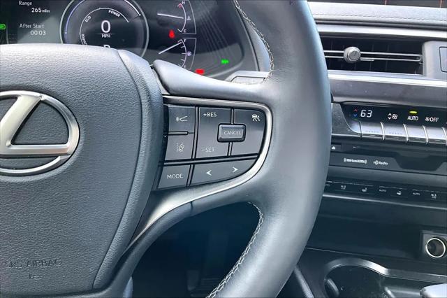 2021 Lexus UX 250h UX 250h