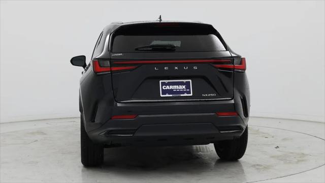 2024 Lexus NX Premium