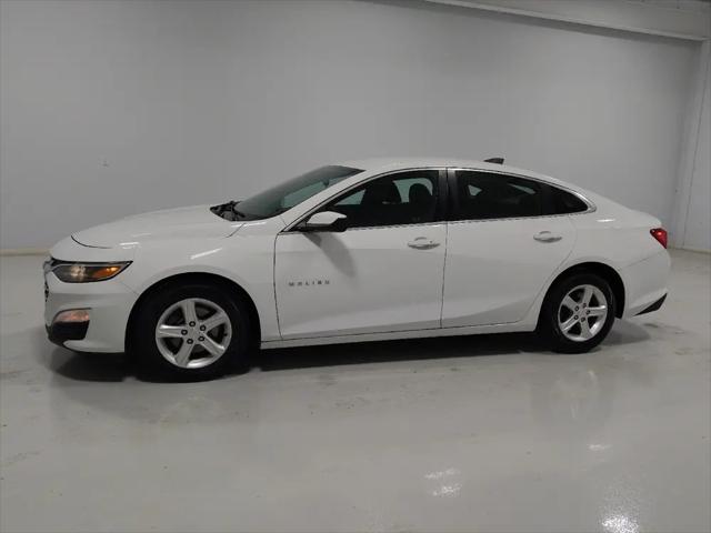 2019 Chevrolet Malibu 1FL