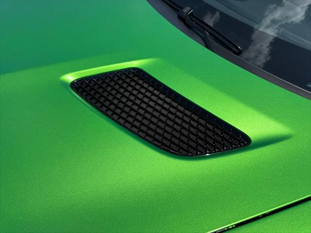 2018 Mercedes-Benz AMG GT AMG GT R
