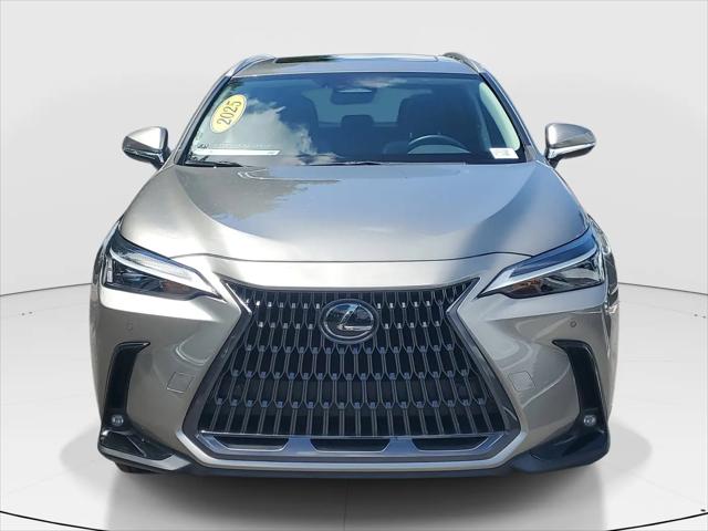 2025 Lexus NX Premium