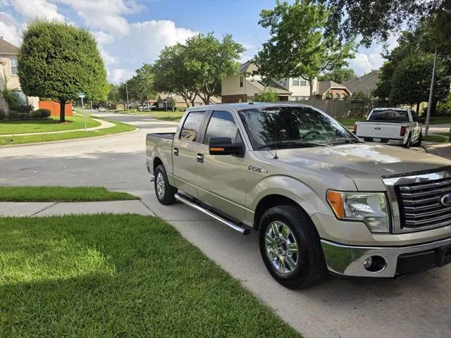 2010 Ford F-150 XLT