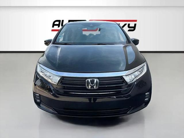 2024 Honda Odyssey EX-L for sale in San Antonio, TX