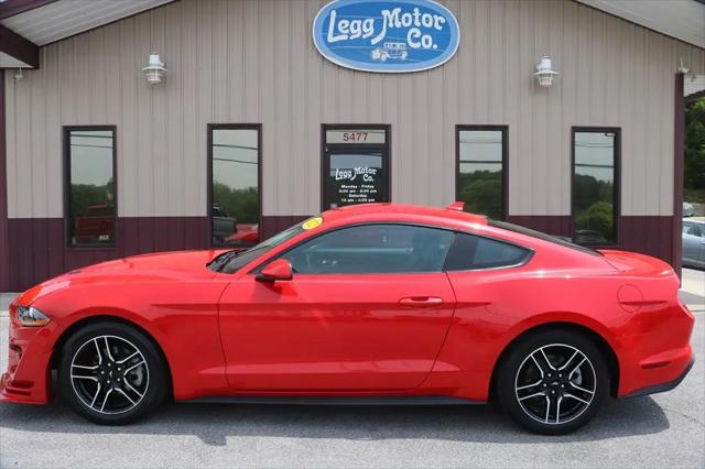 2022 Ford Mustang EcoBoost Fastback for sale in Piney Flats, TN