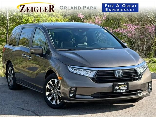 2023 Honda Odyssey EX-L for sale in Orland Park, IL