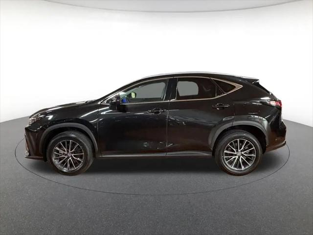 2024 Lexus NX 350 Premium