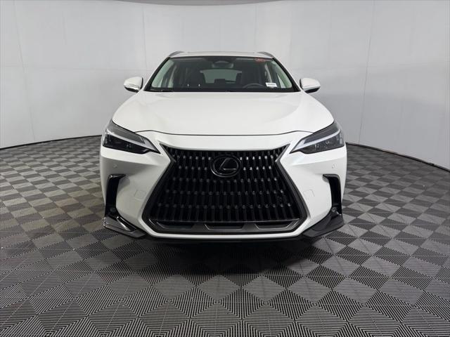 2025 Lexus NX 250 Base