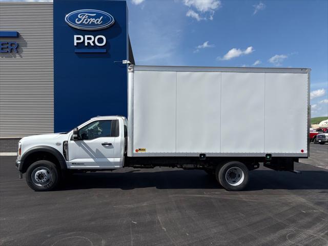 2026 Ford 600 XL