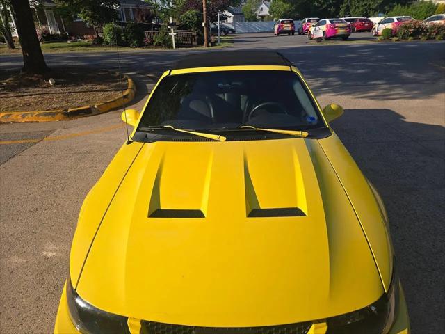 2001 Ford Mustang Cobra