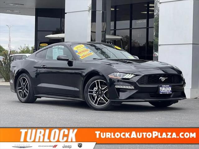 2023 Ford Mustang EcoBoost Premium Fastback for sale in Turlock, CA