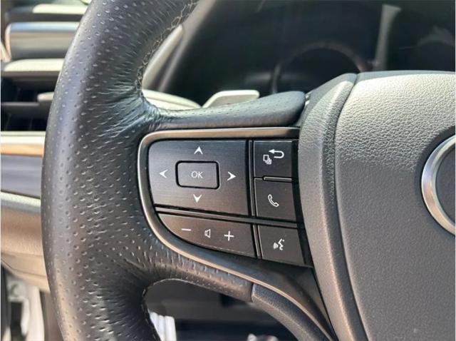 2019 Lexus ES 350 F SPORT