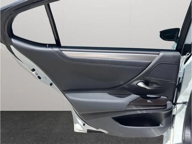 2019 Lexus ES 350 F SPORT