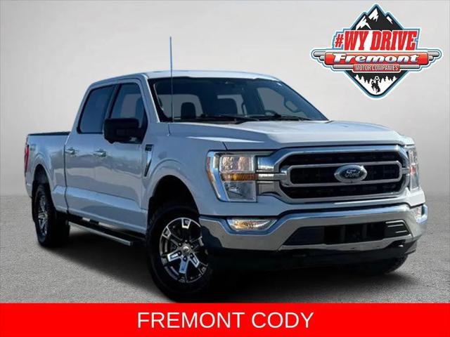 2023 Ford F-150 XLT for sale in Cody, WY