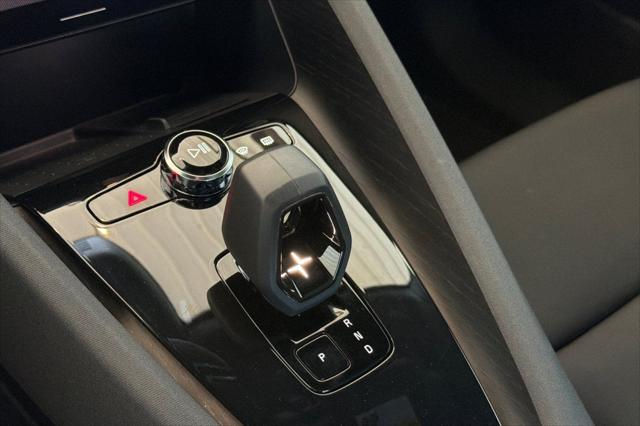 2021 Polestar 2 Launch Edition