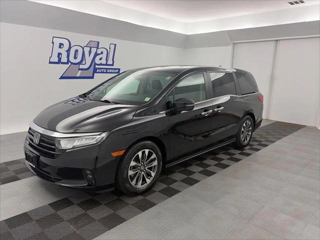 2023 Honda Odyssey EX-L for sale in Cortland, NY