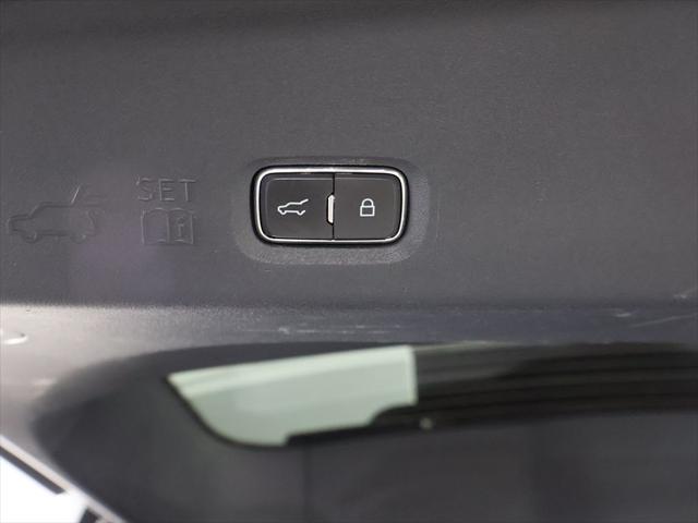 2025 Ford Expedition Active MAX