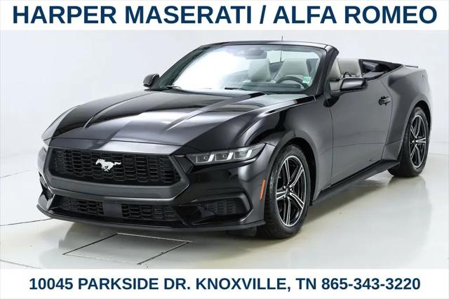 2024 Ford Mustang EcoBoost Premium Convertible for sale in Knoxville, TN