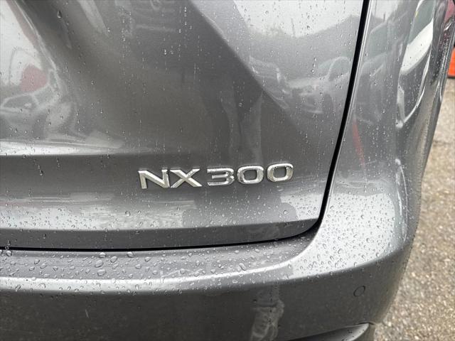2019 Lexus NX 300 F SPORT