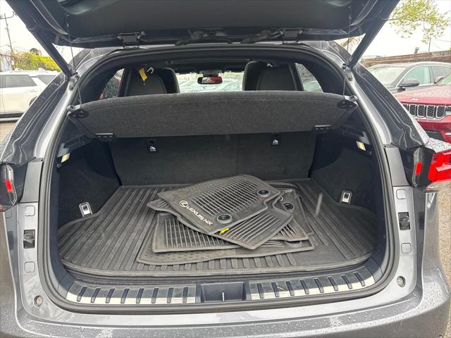 2019 Lexus NX 300 F SPORT