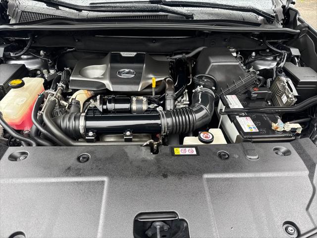 2019 Lexus NX 300 F SPORT