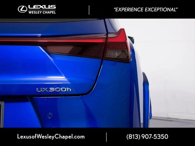 2025 Lexus 300 UX 300h