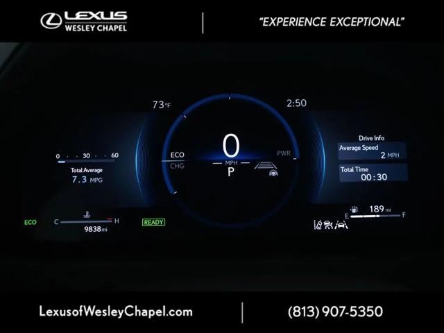 2025 Lexus 300 UX 300h