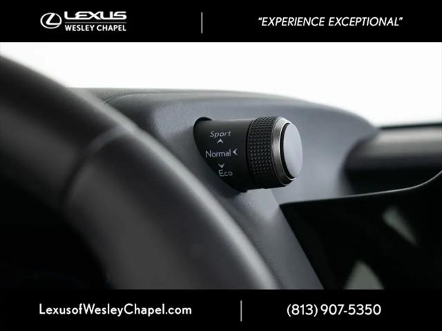 2025 Lexus 300 UX 300h