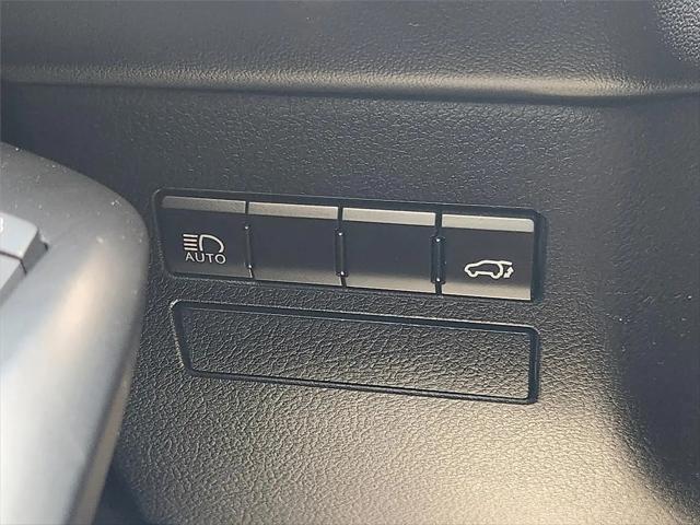 2020 Lexus NX 300 NX 300