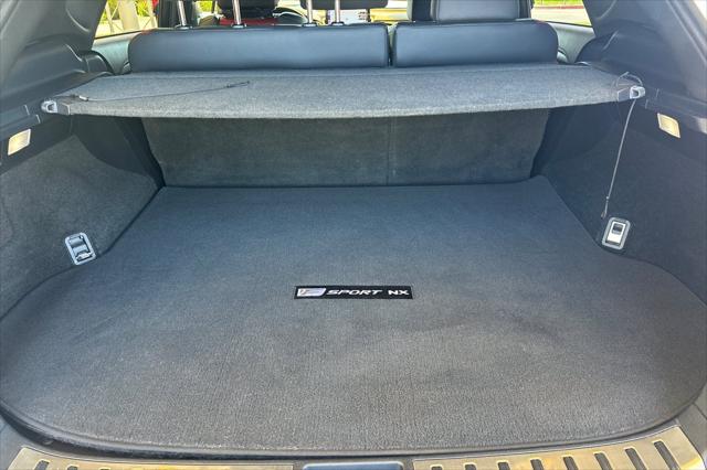 2019 Lexus NX 300 F SPORT