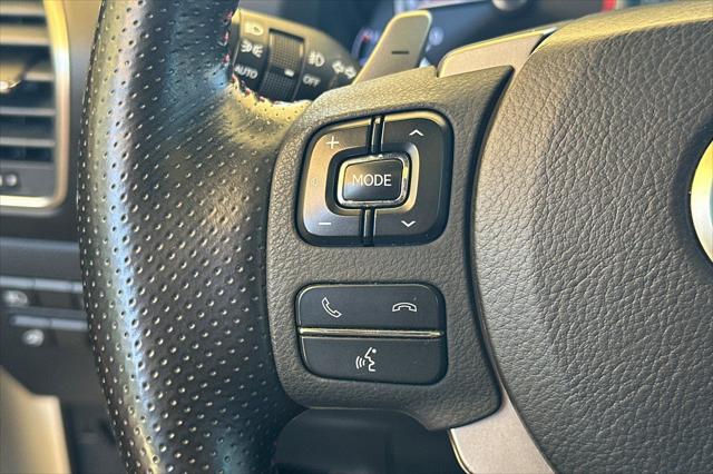 2019 Lexus NX 300 F SPORT