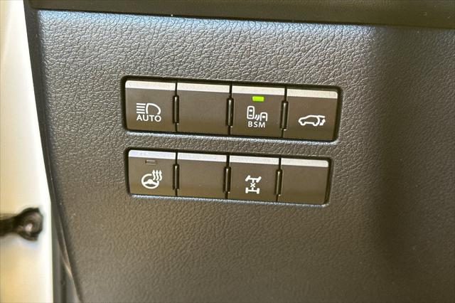 2019 Lexus NX 300 F SPORT