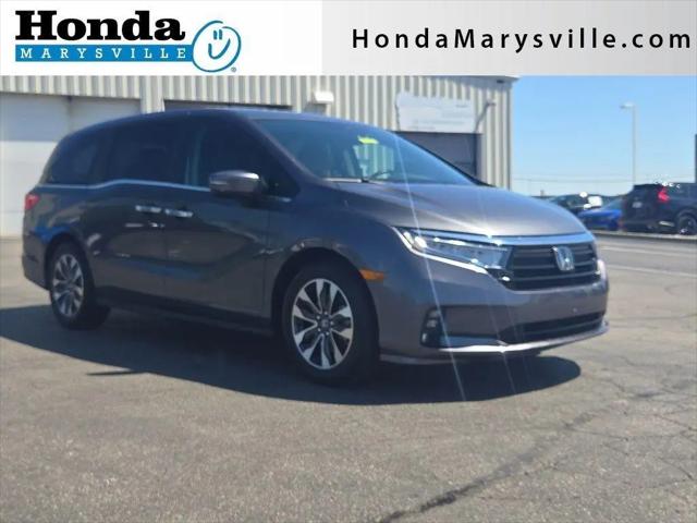 2023 Honda Odyssey EX-L for sale near Marysville, OH