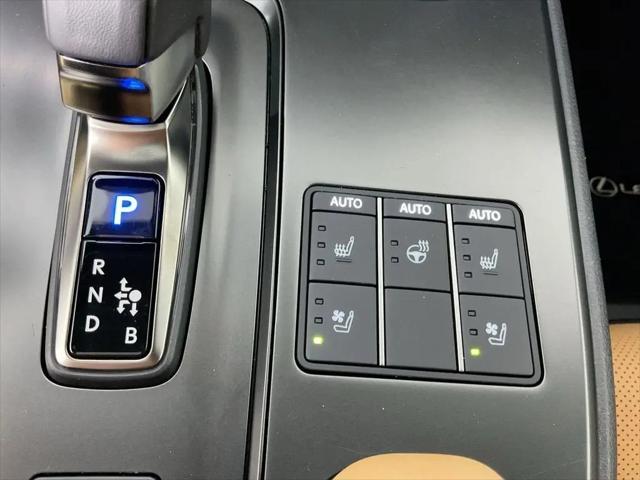 2025 Lexus 300 Premium
