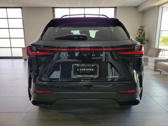 2025 Lexus NX 250 BASE
