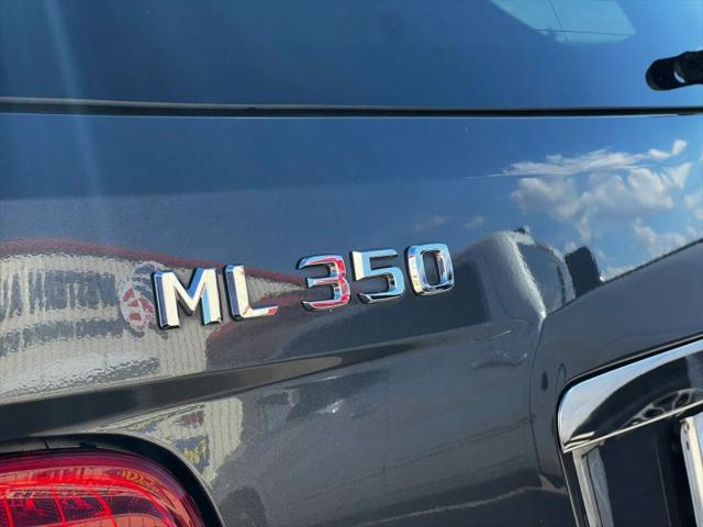2010 Mercedes-Benz ML 350 ML 350