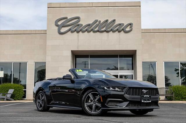 2024 Ford Mustang EcoBoost Premium Convertible for sale in Rockford, IL