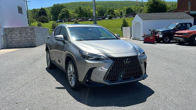 2024 Lexus NX 350 Luxury for sale in Altoona, PA