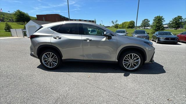 2024 Lexus NX 350 Luxury
