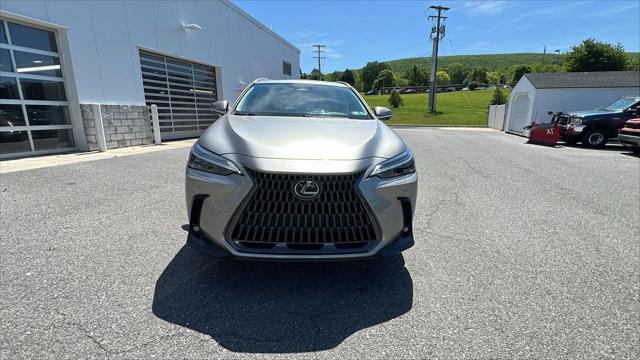 2024 Lexus NX 350 Luxury