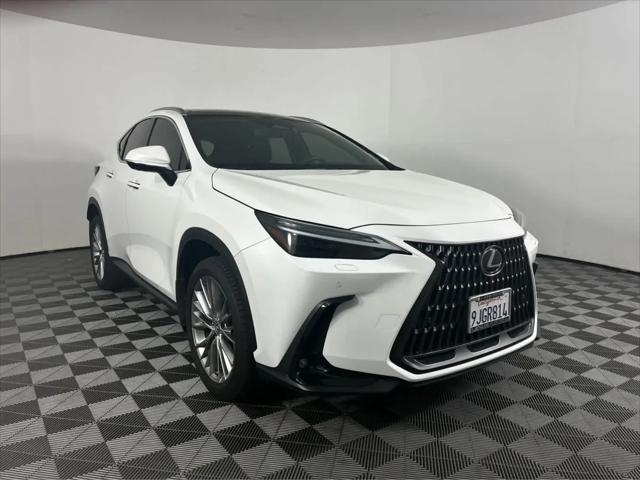 2024 Lexus NX 350 Luxury