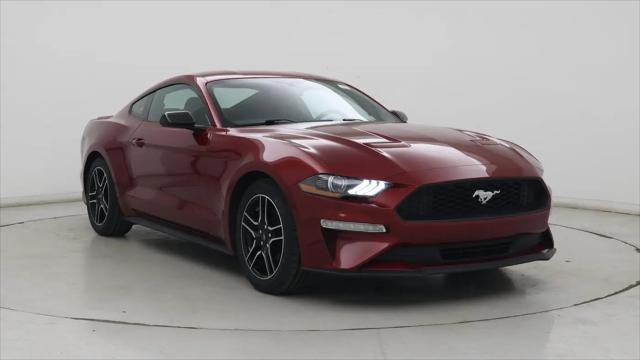 2019 Ford Mustang EcoBoost for sale near Columbus, OH