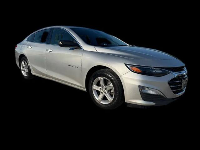 2019 Chevrolet Malibu 1FL