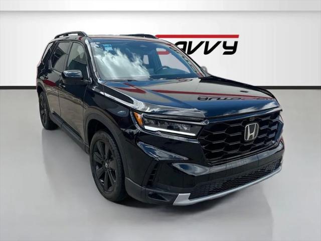 2025 Honda Pilot Black Edition for sale in Windsor, CO