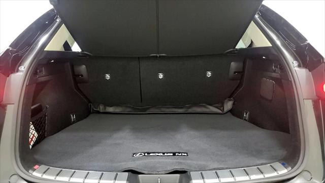 2024 Lexus NX Luxury