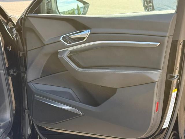 2019 Audi e-tron Premium Plus
