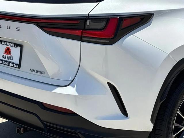 2024 Lexus NX 250